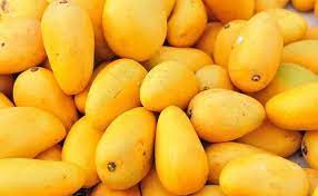 Mango Distributors: Get Mangoes Throughout The Year