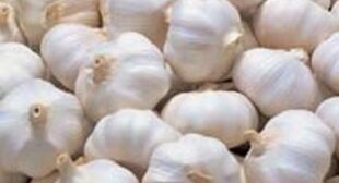 Buy Garlic From Garlic Suppliers And Enjoy Its Benefits