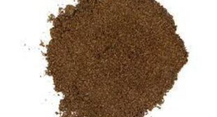 4 ways to use vanilla bean powder for that potent flavour in your recipe
