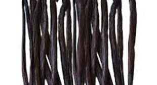 Vanilla beans extract for your recipes