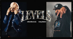 Levels Lyrics