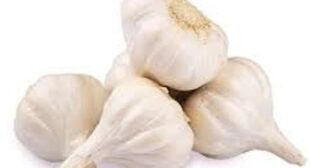 Garlic Suppliers: Buy From Them And Store It Well