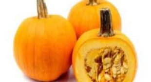 Taste the Unmatchable Varieties of Squash Flavour with Squash Suppliers