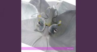 Anora Song Lyrics