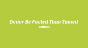 Lyrics of Better Be Fueled than Tamed Song