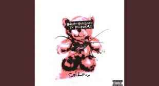 Lyrics of I Hate Your Friends Song