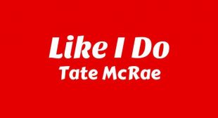 Like I do Lyrics