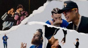 Me Grita (English Translation) Song Lyrics