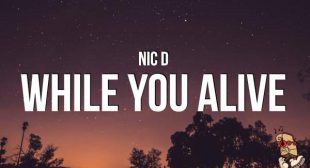 While You Alive Lyrics – Nic D