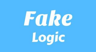 Lyrics of Fake Song