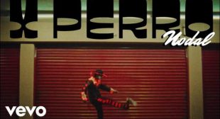 X Perro (English Translation) Lyrics