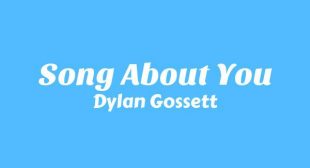 Lyrics of Song About You Song