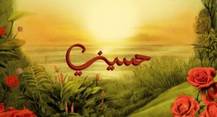 Heseeny – حسيني (English Translation) Lyrics – TUL8TE – توو ليت