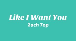 Like I Want You Lyrics – Zach Top