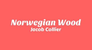 Lyrics of Norwegian Wood Song