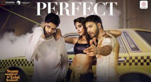 Lyrics of PERFECT Song