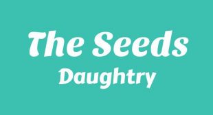 The Seeds Lyrics – Daughtry