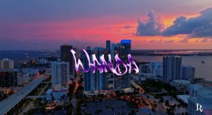 WANDA (English Translation) Song Lyrics