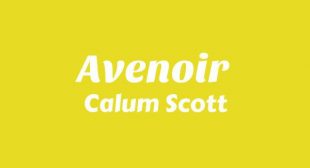 Avenoir Lyrics – Calum Scott