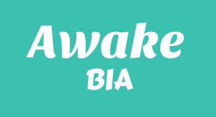 Awake Song Lyrics