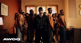 Lyrics of BOTAPAFO (English Translation) Song
