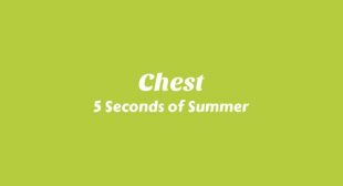 Lyrics of Chest Song