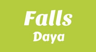 Falls Lyrics