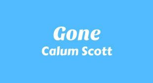 Lyrics of Gone Song