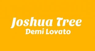 Joshua Tree Song Lyrics