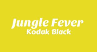 Jungle Fever Song Lyrics