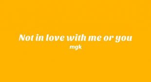 Not In Love With Me Or You Song Lyrics
