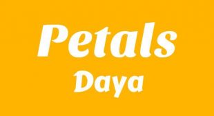 Petals Song Lyrics