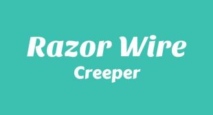 Lyrics of Razor Wire Song