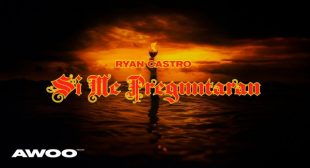 Lyrics of SI ME PREGUNTARAN (English Translation) Song