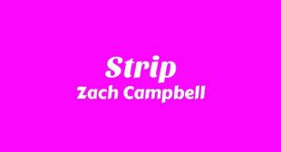 Lyrics of Strip Song
