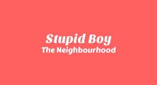 Lyrics of Stupid Boy Song