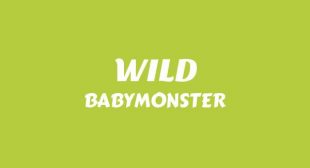 Lyrics of WILD Song