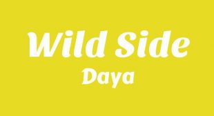 Wild Side Song Lyrics