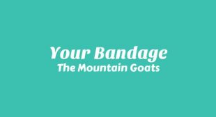 Your Bandage Lyrics