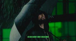 Lyrics of TOY (English Translation) Song